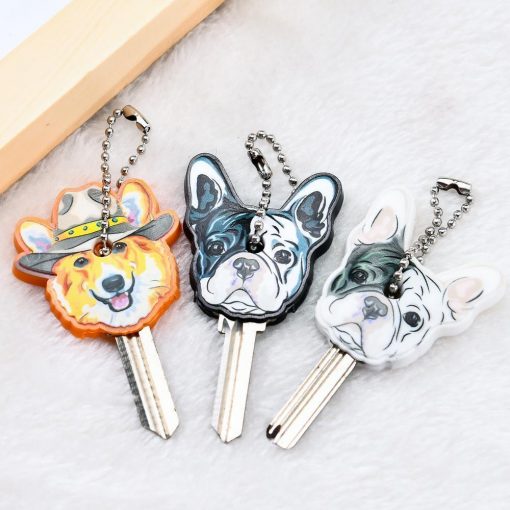 The Amazing Key Cover Stunning Pets