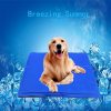 The Best Cooling Gel Pad for Pets | Summer Cool Mats | Free Shipping Stunning Pets 