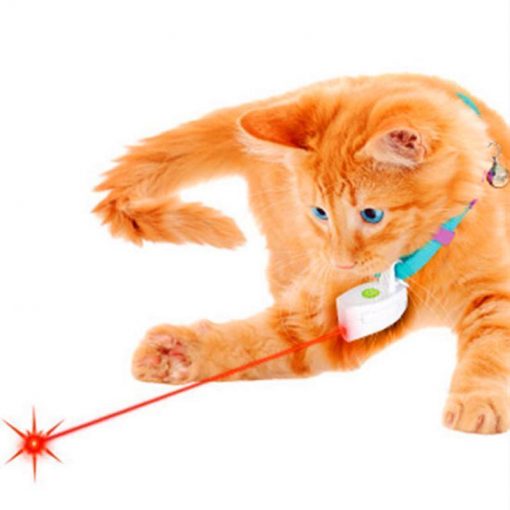 The Cat's Boredom Reliever Laser Collar Stunning Pets
