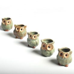 The Cute Owl Pots Stunning Pets 