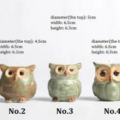 The Cute Owl Pots Stunning Pets