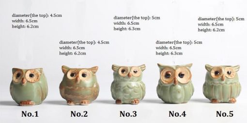 The Cute Owl Pots Stunning Pets