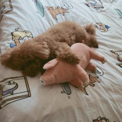 The Cute Pig Dog Pillow Stunning Pets