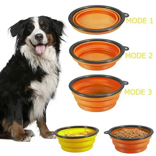 The Fold-able Dog Bowl Stunning Pets