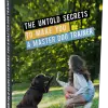 The Untold Secrets to Make you a Master Dog Trainer Glamorous Dogs Shop - Glamorous Accessories for Your Dog + FREE SHIPPING 
