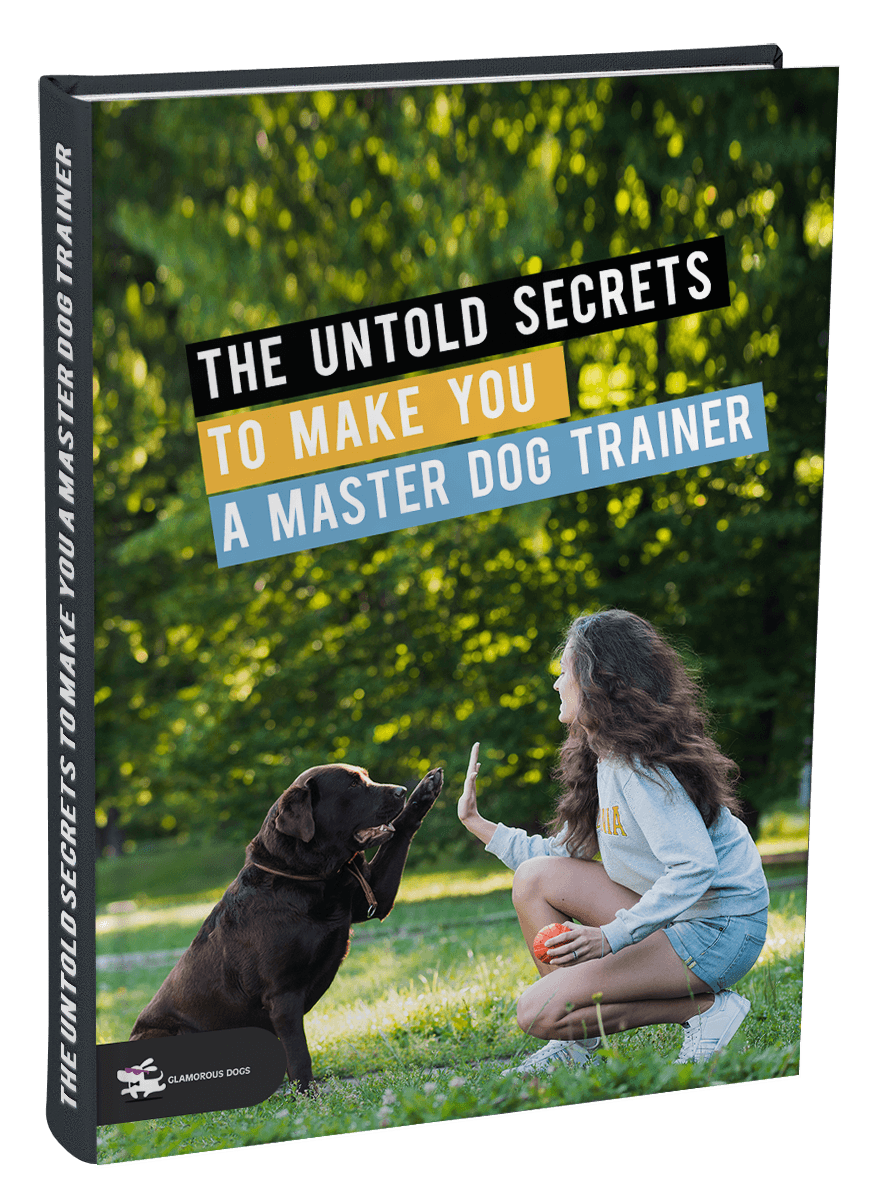 The Untold Secrets to Make you a Master Dog Trainer Glamorous Dogs Shop - Glamorous Accessories for Your Dog + FREE SHIPPING