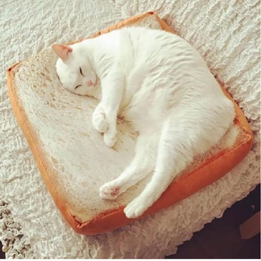 Toast Bread Shape Pet Bed Stunning Pets
