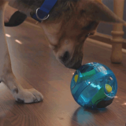 Coolest Interactive Dog Ball (Dog Treat Ball with sound) 11