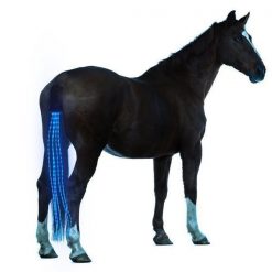 USB Rechargeable Adjustable LED Horse Tail Lights LED Tail GlamorousDogs 