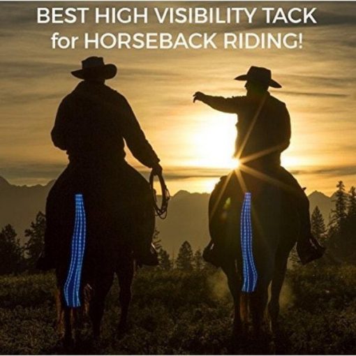 USB Rechargeable Adjustable LED Horse Tail Lights LED Tail GlamorousDogs
