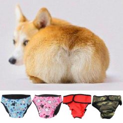 Washable Reusable Dog Diapers for Female Dogs & New-born Puppies August Test GlamorousDogs 