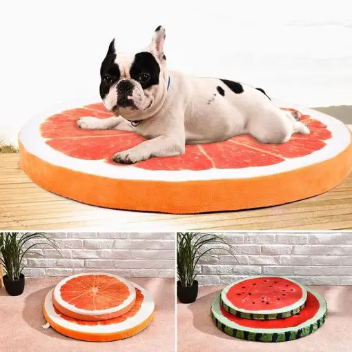 Watermelon / Orange Pet Bed GlamorousDogs