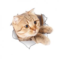 Waterproof Cat/Dog 3D Wall Sticker Stunning Pets cat2 