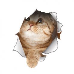 Waterproof Cat/Dog 3D Wall Sticker Stunning Pets cat3 
