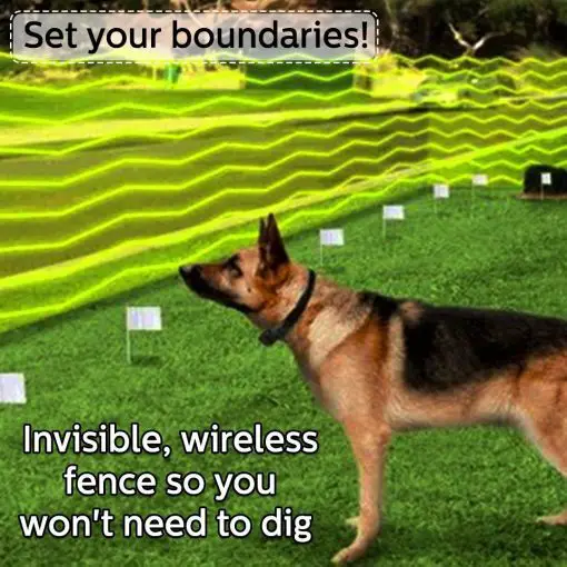 Wireless Invisible Dog Containment Fence High Ticket GlamorousDogs