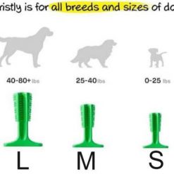 World's Most Effective Dog Toothbrush Toy, Bristly Brushing Stick bristly stick GlamorousDogs 0 to 25 Pounds 