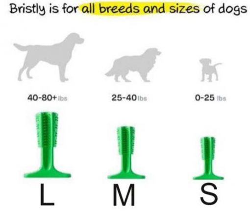 World's Most Effective Dog Toothbrush Toy, Bristly Brushing Stick bristly stick GlamorousDogs 0 to 25 Pounds
