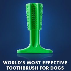 World's Most Effective Dog Toothbrush Toy, Bristly Brushing Stick bristly stick GlamorousDogs 