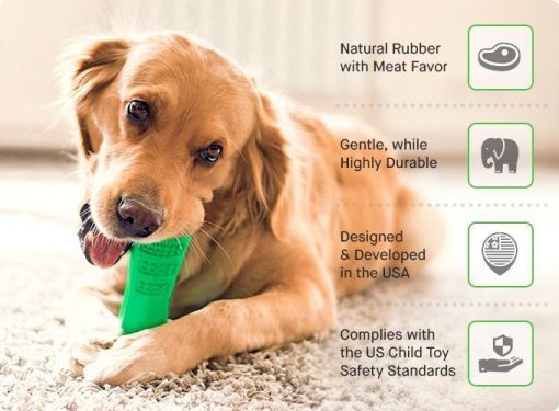 World's Most Effective Dog Toothbrush Toy, Bristly Brushing Stick bristly stick GlamorousDogs