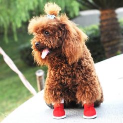 Xmas Santa Claus Boots For Dogs Dog boots GlamorousDogs
