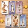 Yoga Masters I-Phone Cases l ???? FREE ???? Phone Cases Stunning Pets 