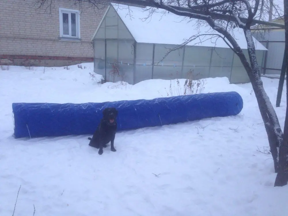 Top Dogs Tunnel For Agility Training (Dogs/Cats-Different Sizes) 1