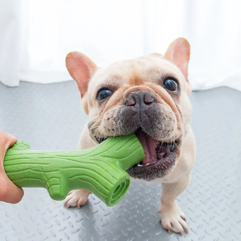 Best Toy For Dog Bite (Molar Teeth Biting Toy - Strong Rubber) 14